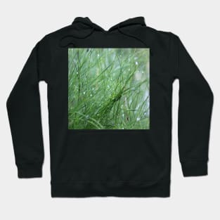 Water Droplets Hoodie